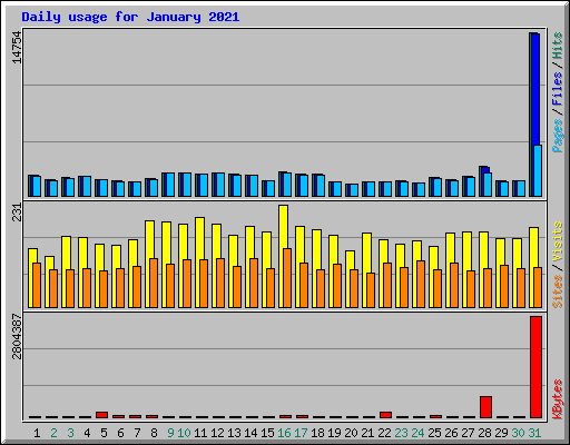Daily usage for January 2021