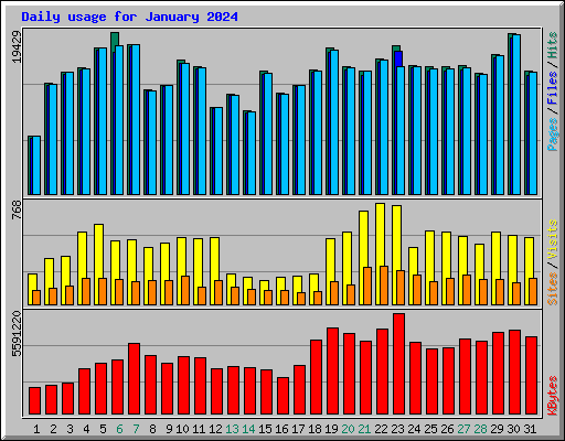 Daily usage for January 2024