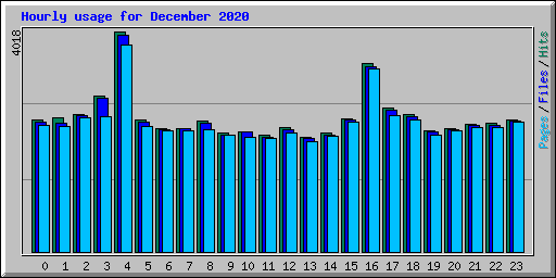 Hourly usage for December 2020