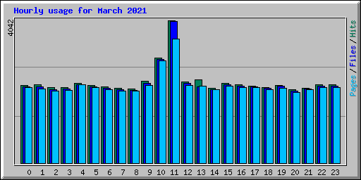 Hourly usage for March 2021
