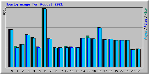 Hourly usage for August 2021