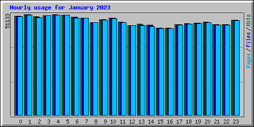 Hourly usage for January 2023