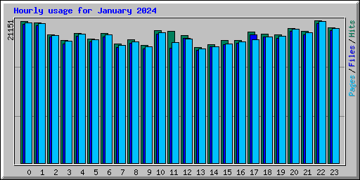 Hourly usage for January 2024