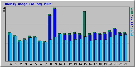 Hourly usage for May 2025