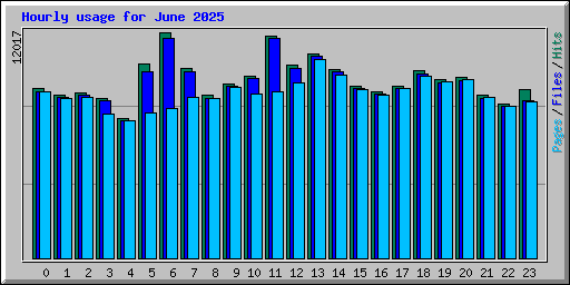 Hourly usage for June 2025