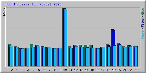 Hourly usage for August 2025