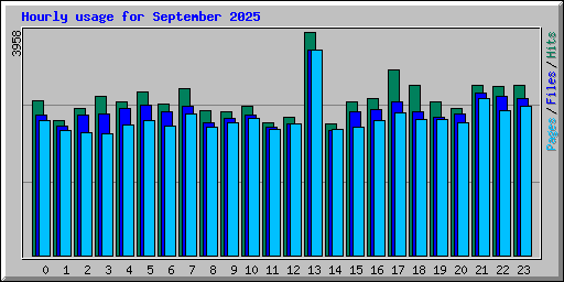Hourly usage for September 2025