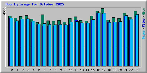 Hourly usage for October 2025