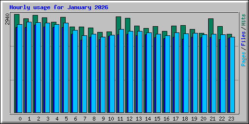 Hourly usage for January 2026