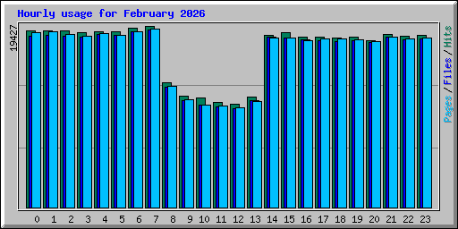 Hourly usage for February 2026