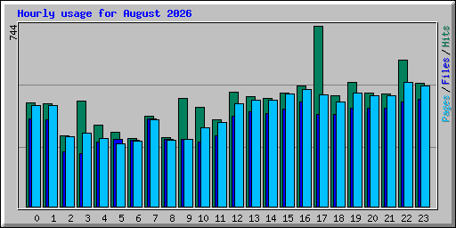 Hourly usage for August 2026
